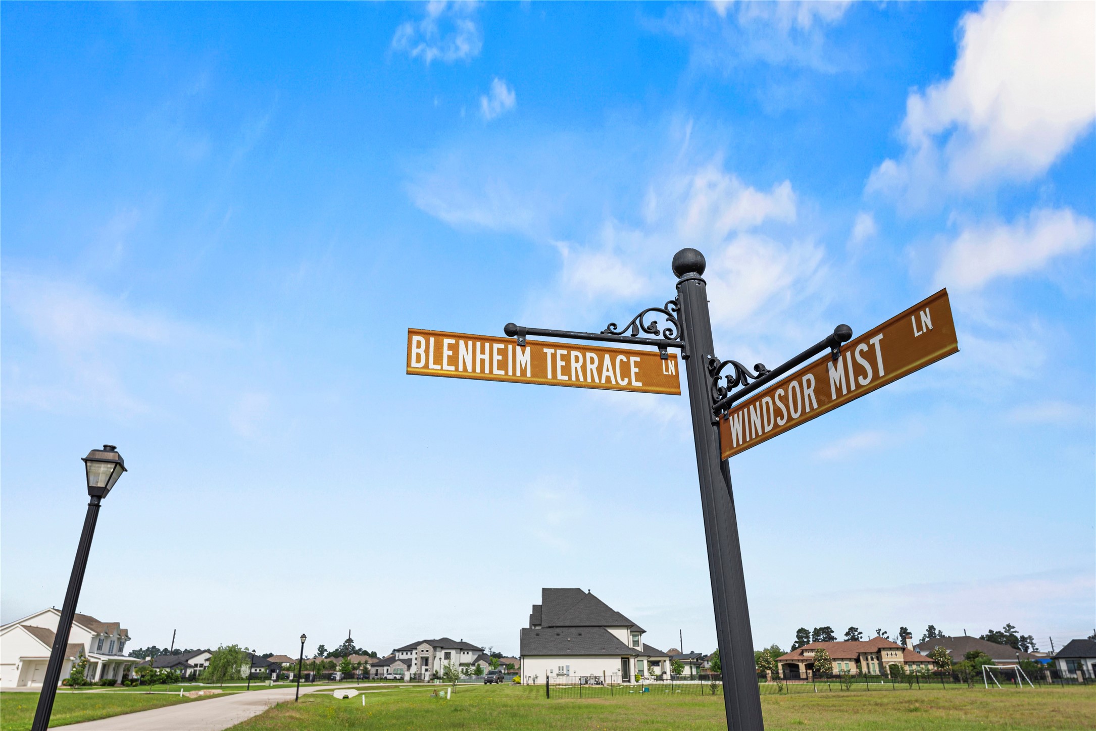 4041 Blenheim Terrace Lane Spring, TX 77386 - Photo 4 of 15
