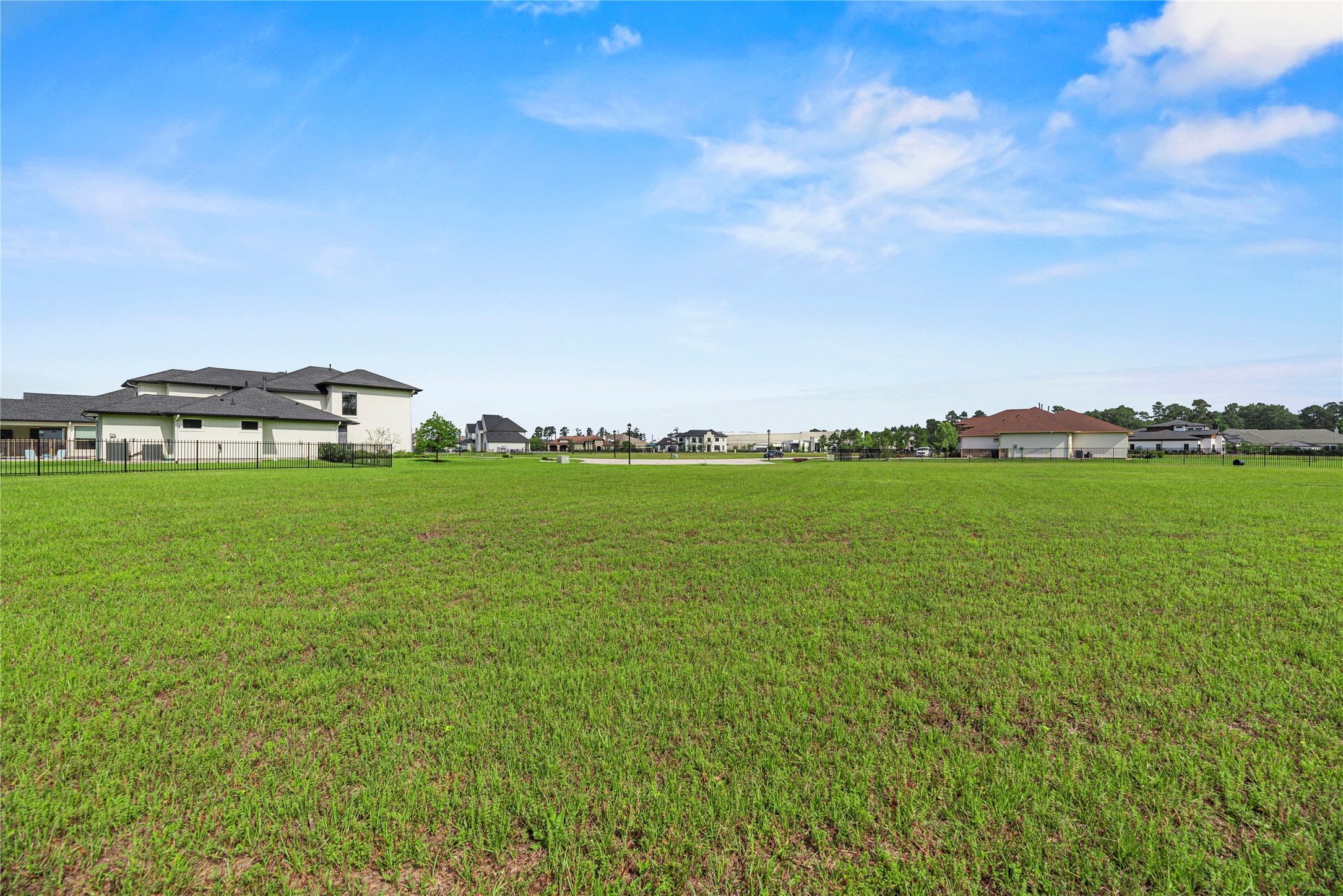 4041 Blenheim Terrace Lane Spring, TX 77386 - Photo 5 of 15