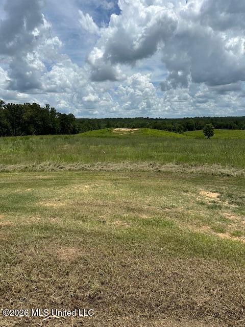 120 Eula Grayson Road Mendenhall, MS 39114 - Photo 1 of 17 IMG_3357 (7)