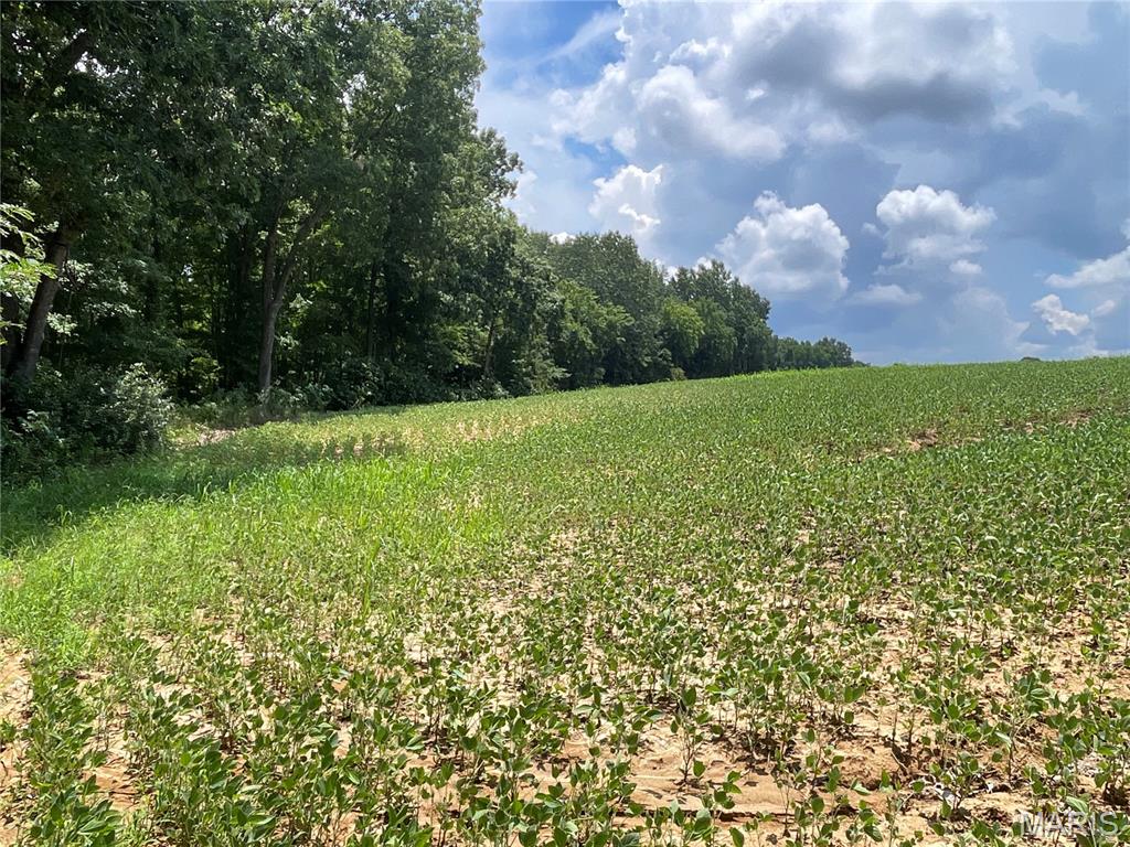 920 South Poplar Camp Road Makanda, IL 62958 - Photo 34 of 53