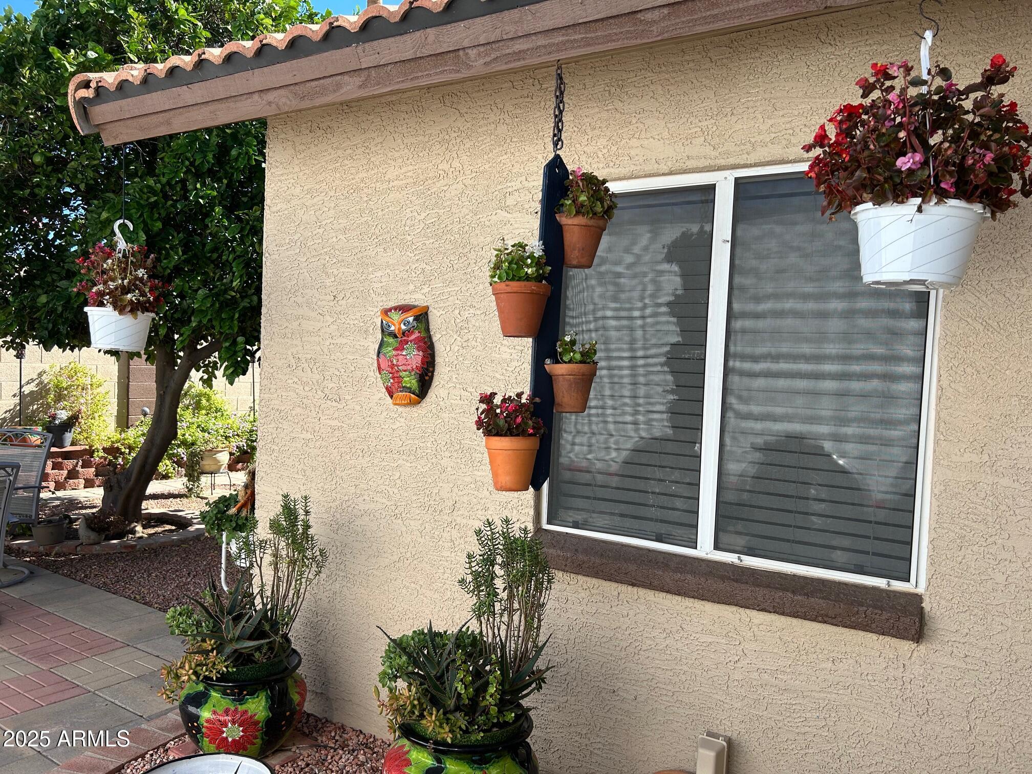 8734 West Bloomfield Road Peoria, AZ 85381 - Photo 24 of 34 bloompots