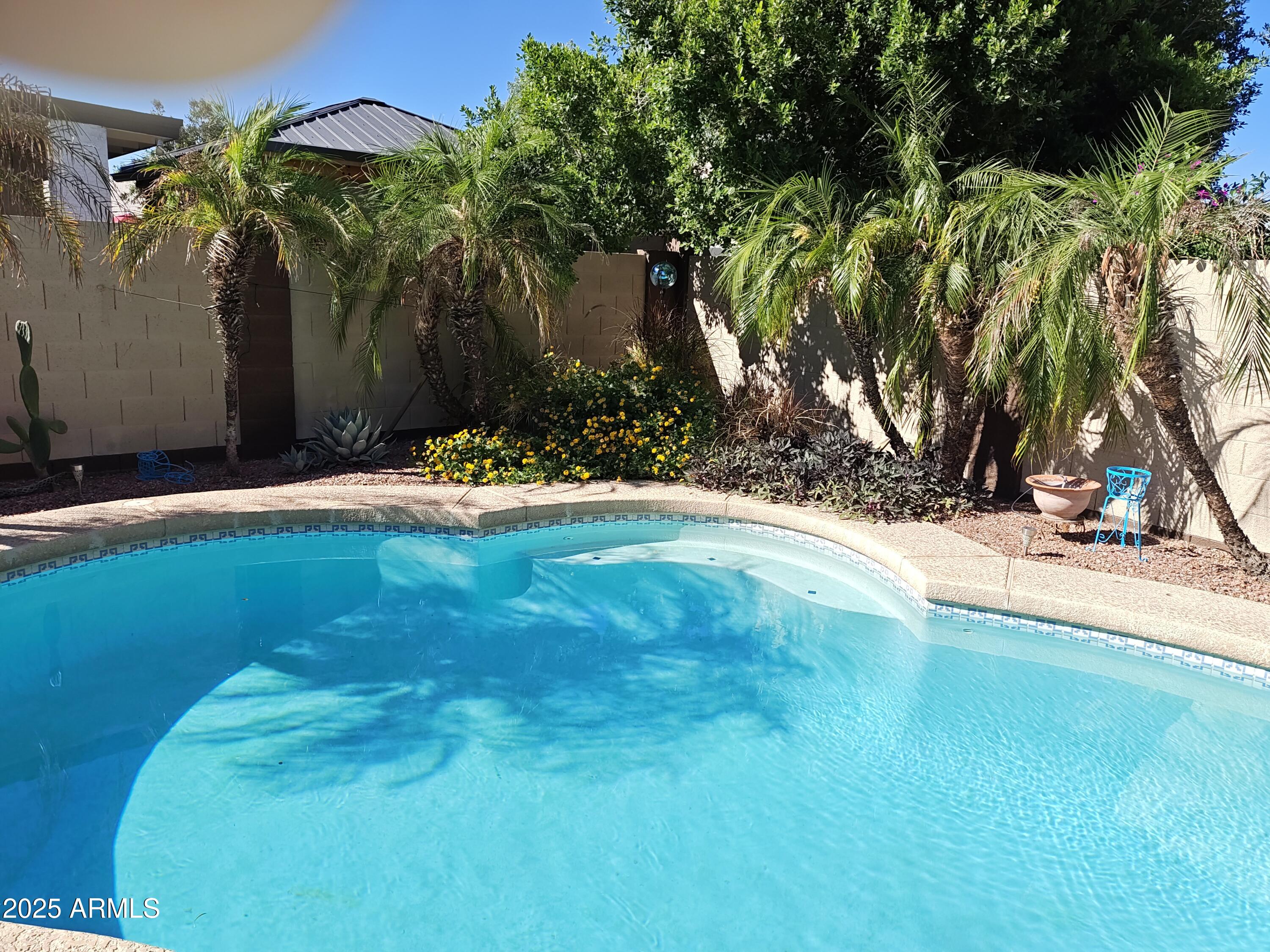 8734 West Bloomfield Road Peoria, AZ 85381 - Photo 32 of 34 blmpoolnw
