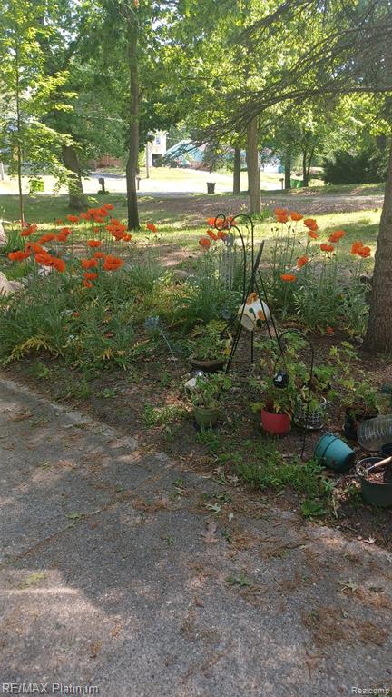 10183 Skeman Road Brighton, MI 48114 - Photo 50 of 70 Gallery Image 50