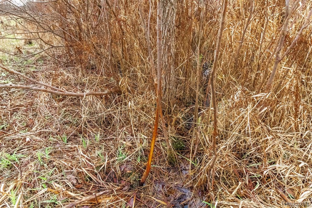Vl Roods Lake Road Lapeer, MI 48446 - Photo 7 of 9