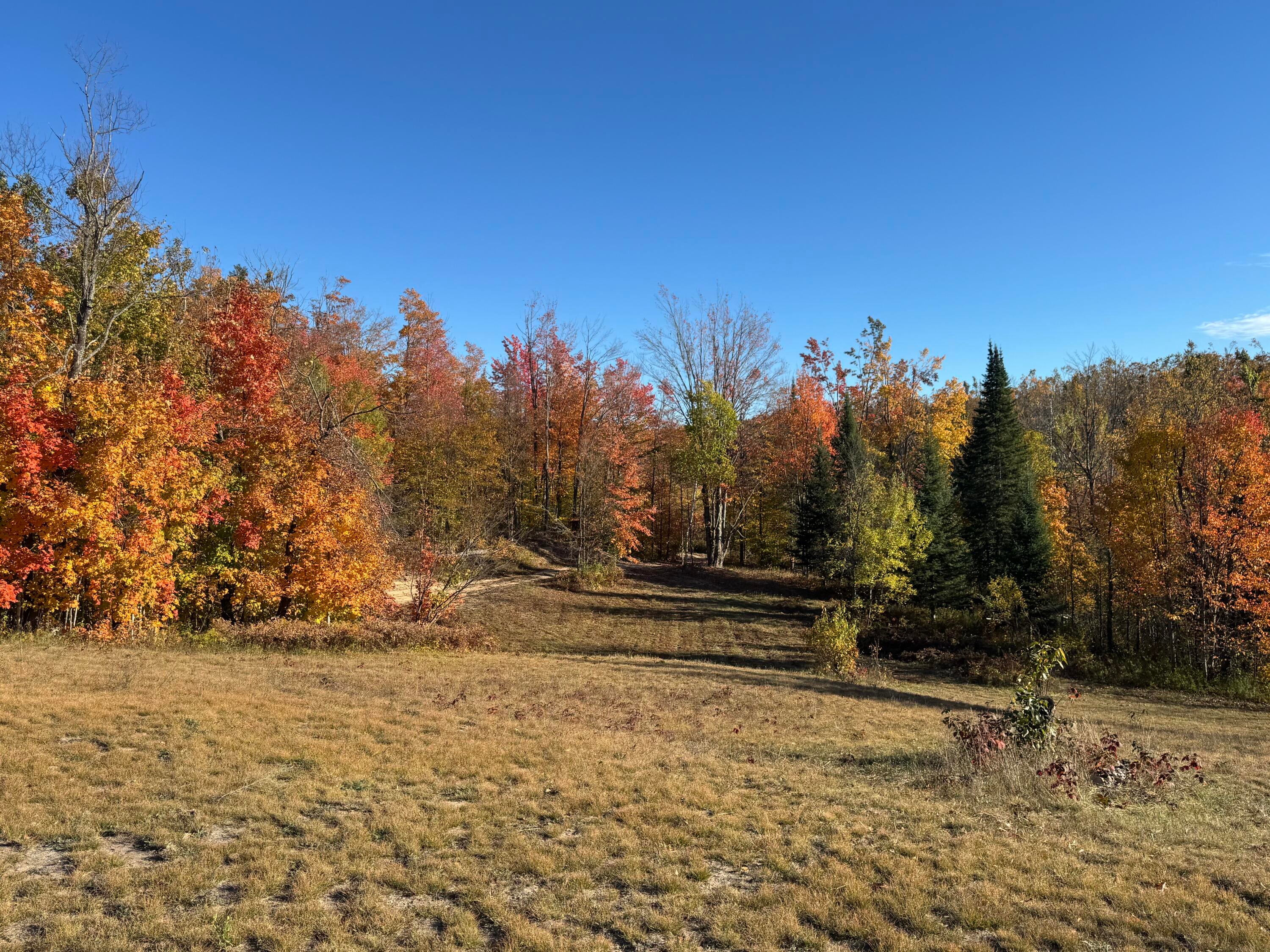 1722 McGregor Road Vanderbilt, MI 49795 - Photo 10 of 12 Gallery Image 10
