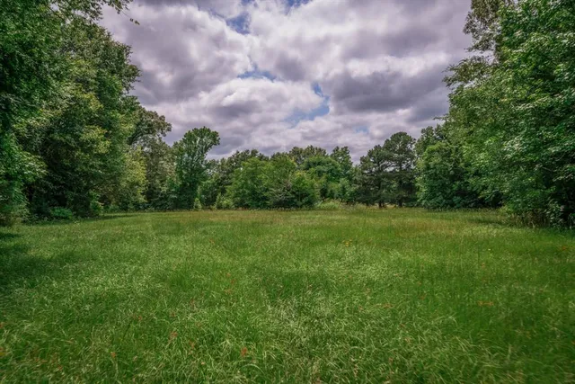 a view of a garden with a building in the background