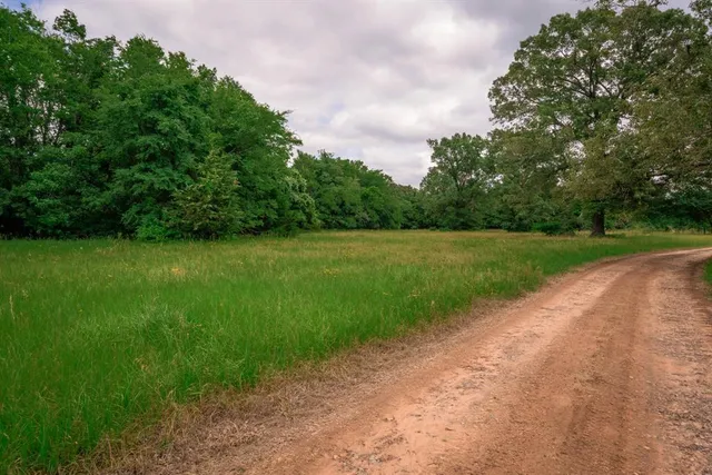 a view of a grassy area