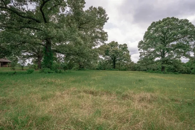 a view of outdoor space with field and trees