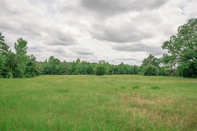 a view of field and trees in the background
