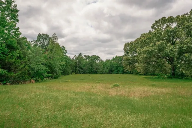 a view of a big yard with lots of green space