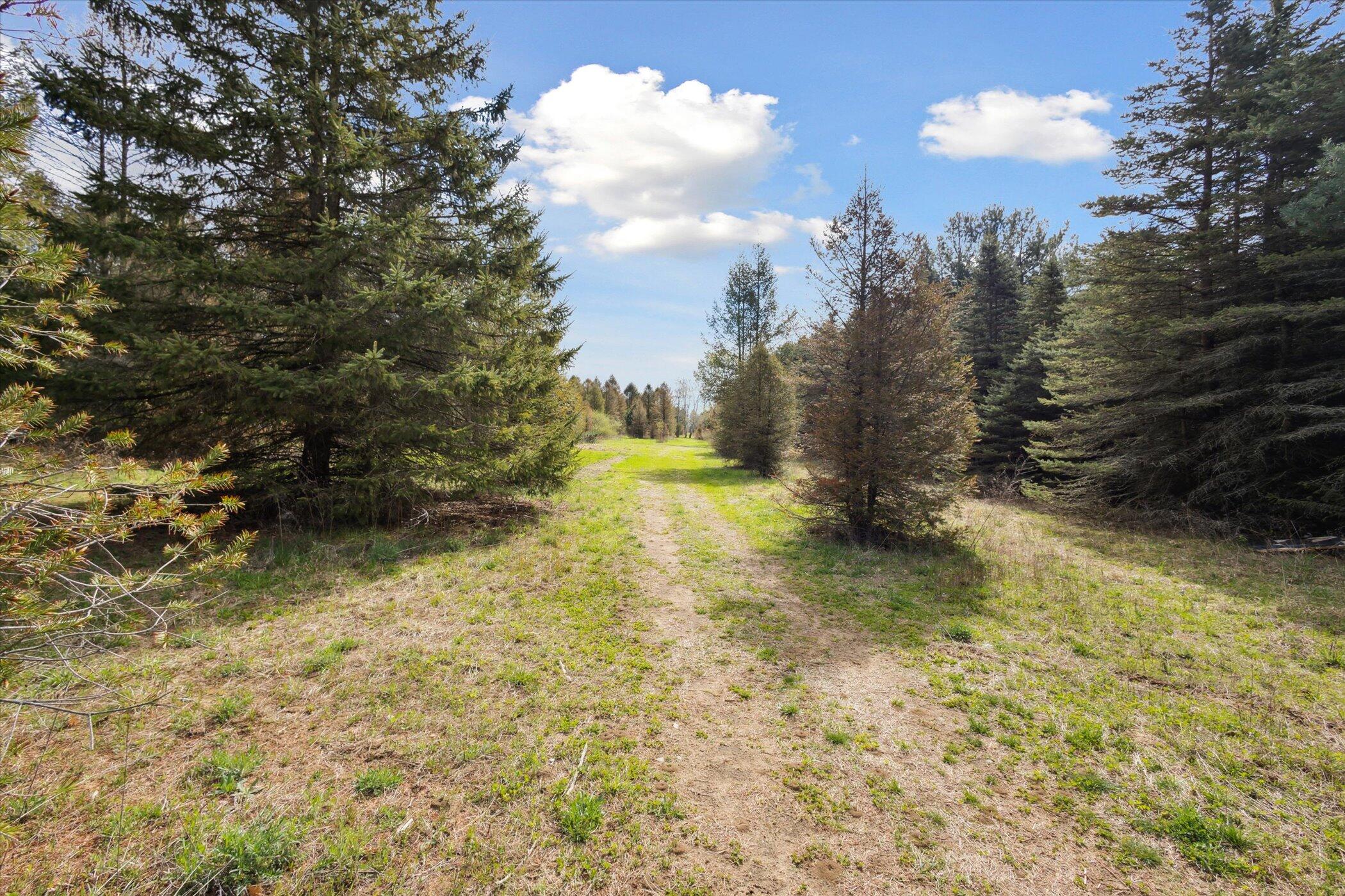 1366 Grow Road Northwest Stanton, MI 48888 - Photo 27 of 48 41-1366-Grow-Rd-NW-Stanton-MI-48888-Wind