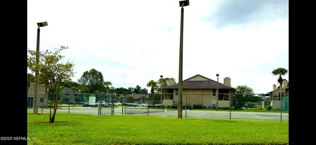 a view of a park with a tree