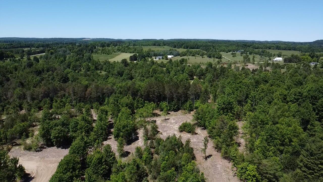 7.91-acres Butwell Road Bear Lake, MI 49614 - Photo 19 of 22 2026-06-22-15-03-03-108