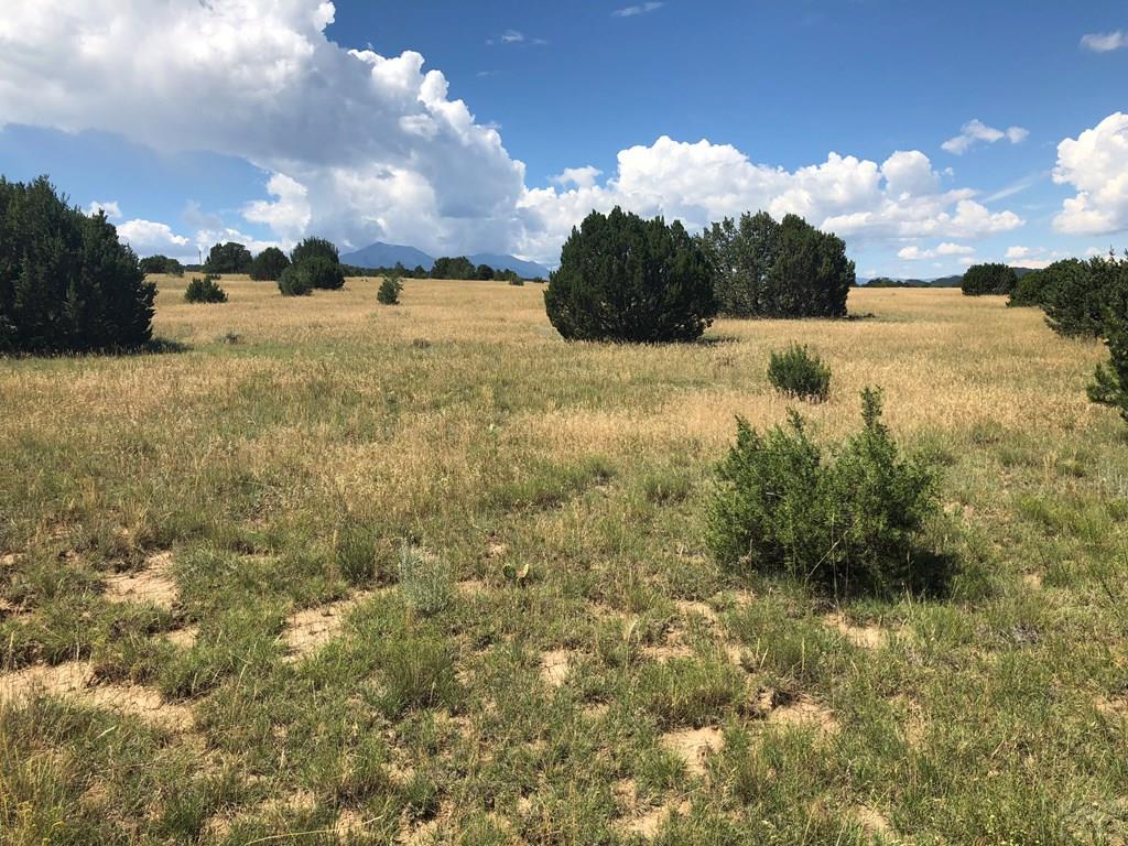 Lot 30 Silver Spur Road Walsenburg, CO 81089 - Photo 25 of 36 Gallery Image 25