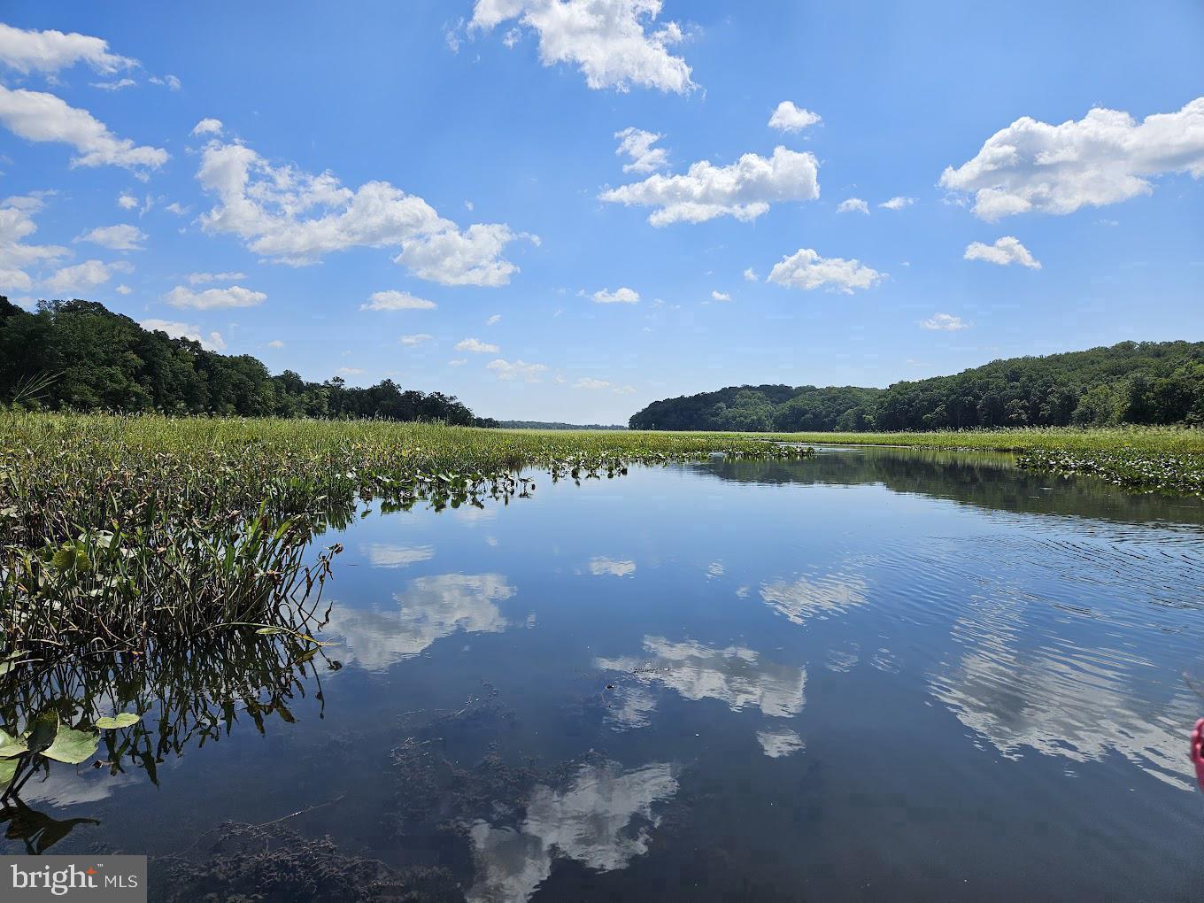 100 Torbert Loop Stafford, VA 22554 - Photo 18 of 23 Nearby Crow's Nest Preserve