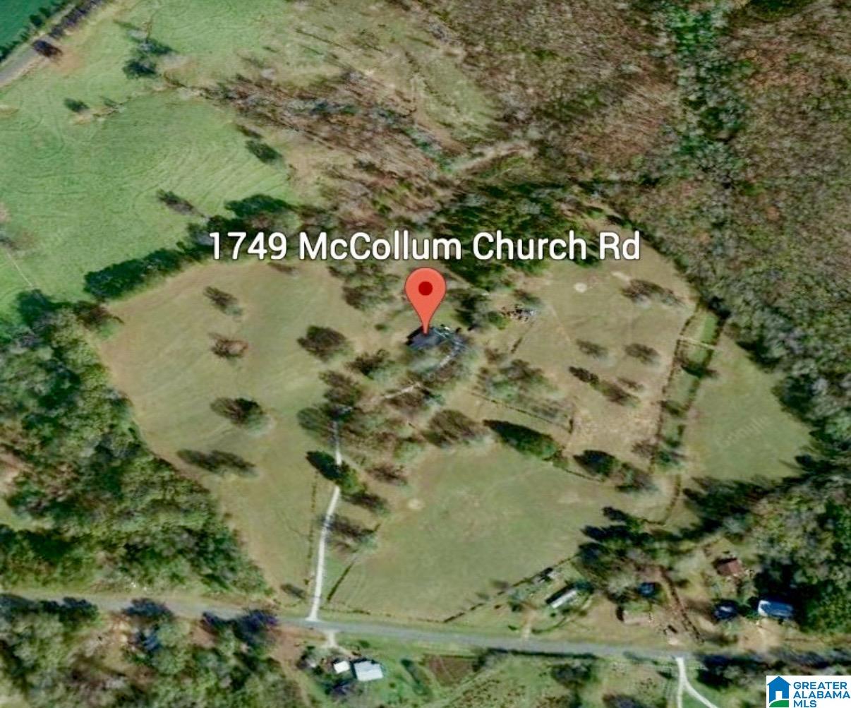 1749 McCollum Church Road Lineville, AL 36266 - Photo 60 of 66