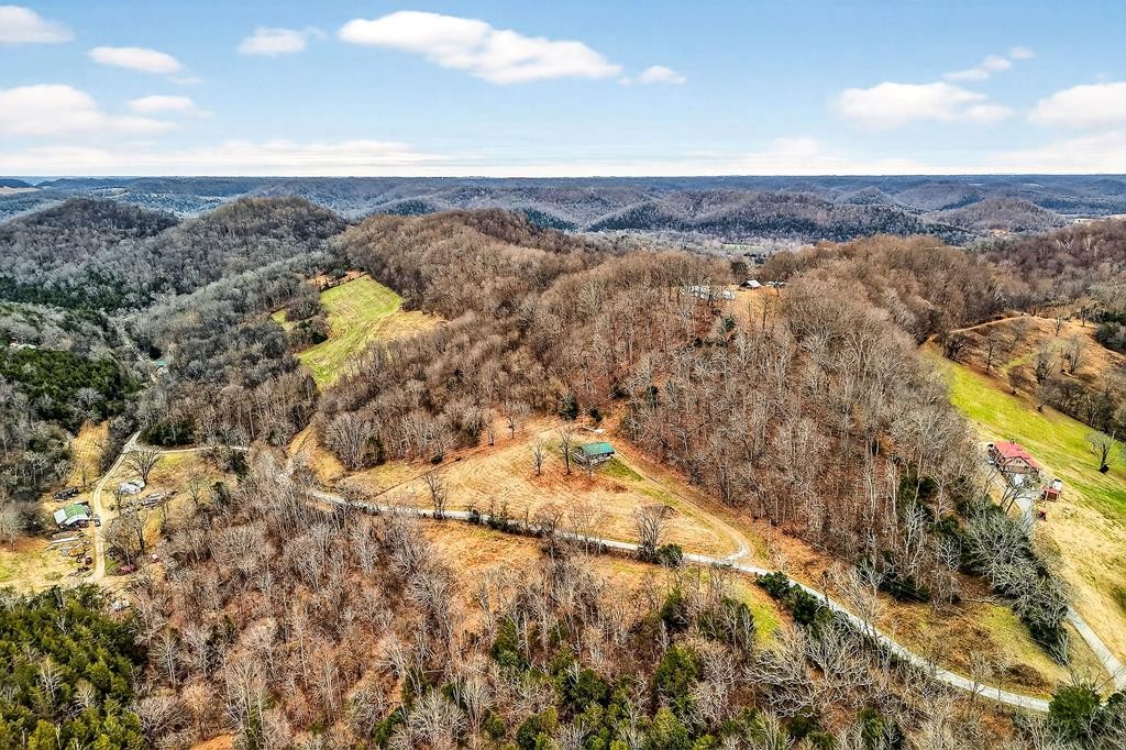 99 Judkins Road Hickman, TN 38567 - Photo 42 of 67