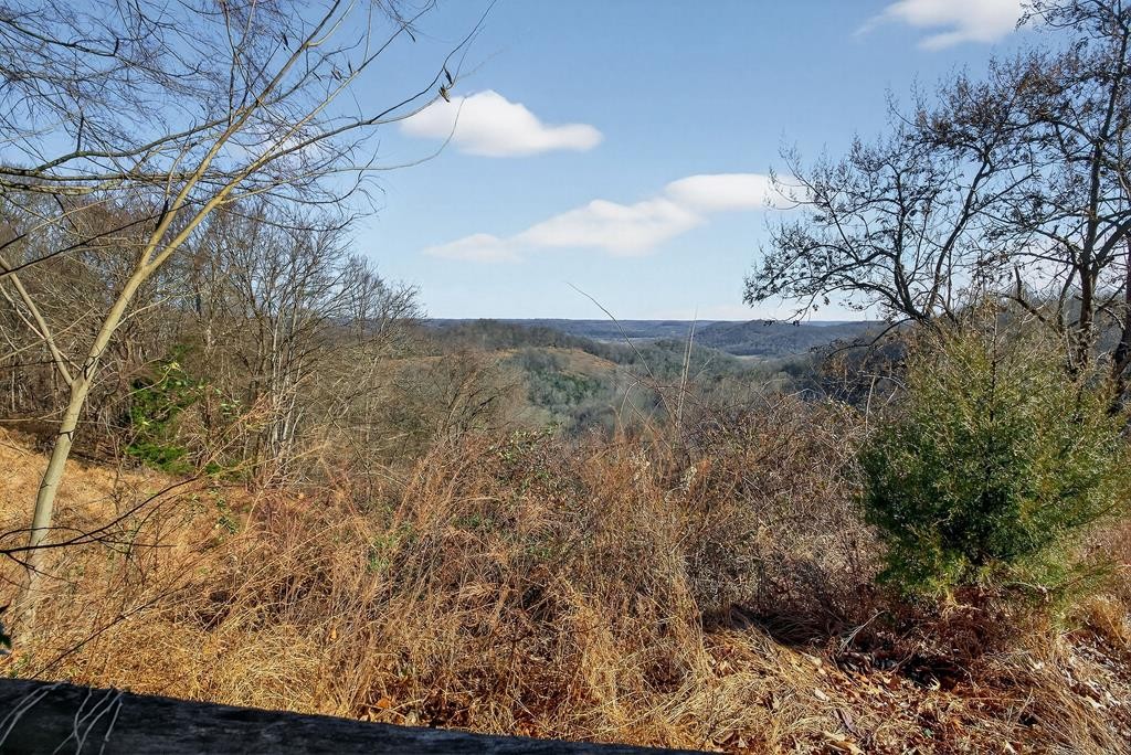 99 Judkins Road Hickman, TN 38567 - Photo 44 of 67