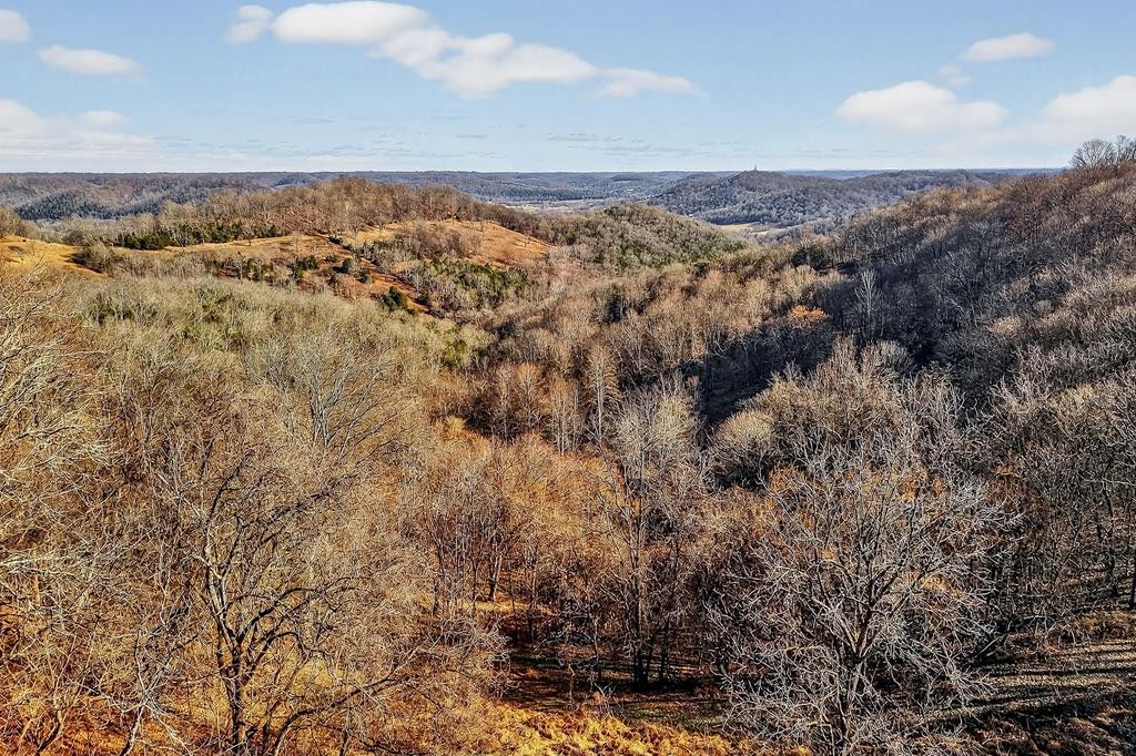 99 Judkins Road Hickman, TN 38567 - Photo 45 of 67