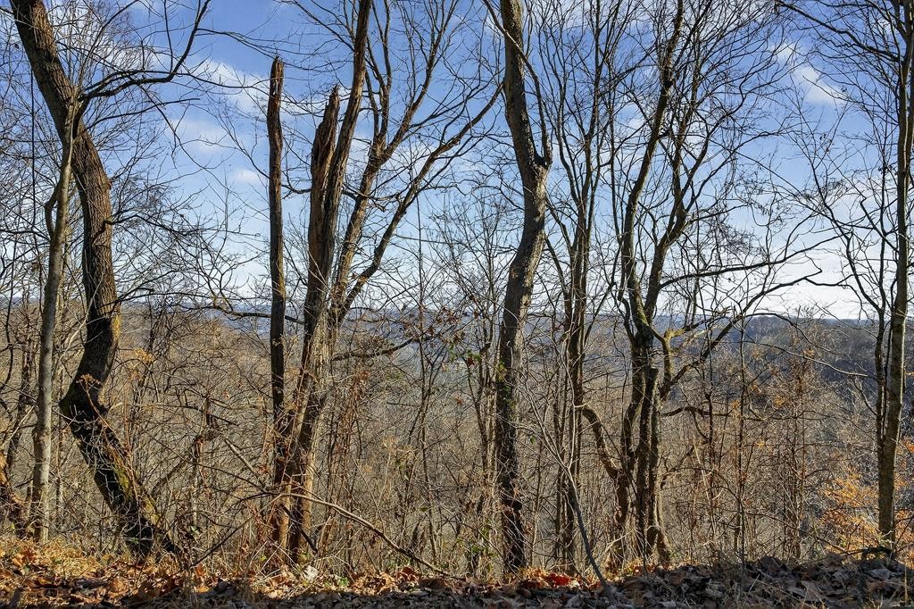 99 Judkins Road Hickman, TN 38567 - Photo 46 of 67