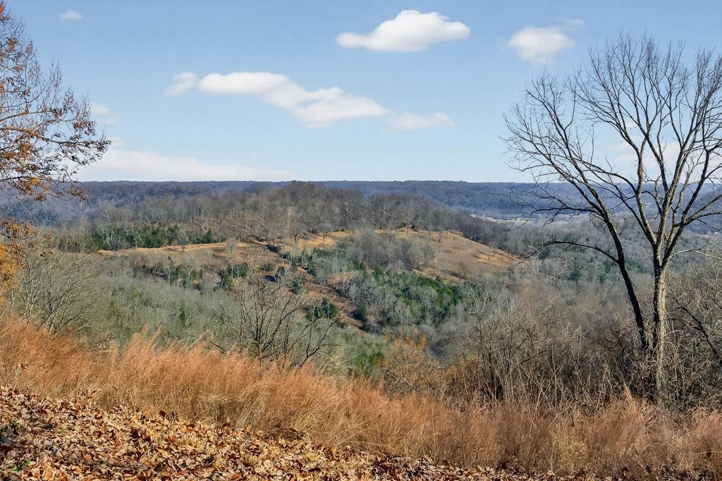 99 Judkins Road Hickman, TN 38567 - Photo 47 of 67