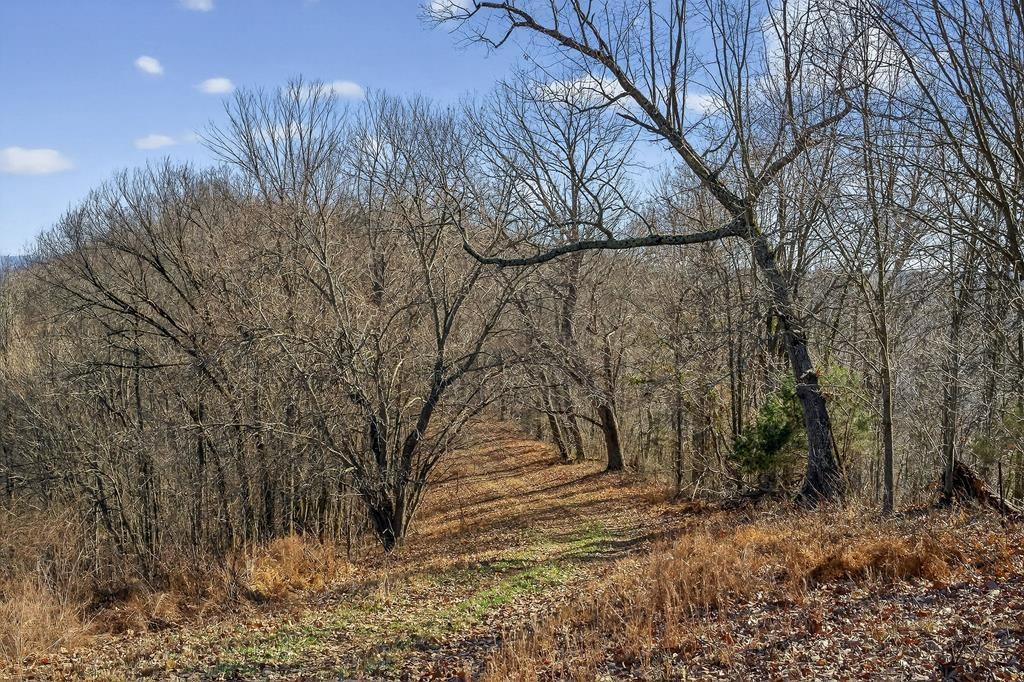 99 Judkins Road Hickman, TN 38567 - Photo 49 of 67