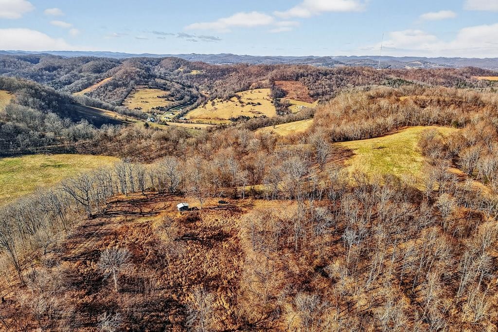 99 Judkins Road Hickman, TN 38567 - Photo 57 of 67