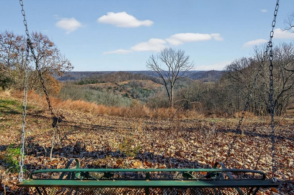 99 Judkins Road Hickman, TN 38567 - Photo 59 of 67