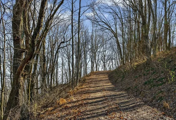 $1,300,000 | 99 Judkins Road, Hickman, TN 38567