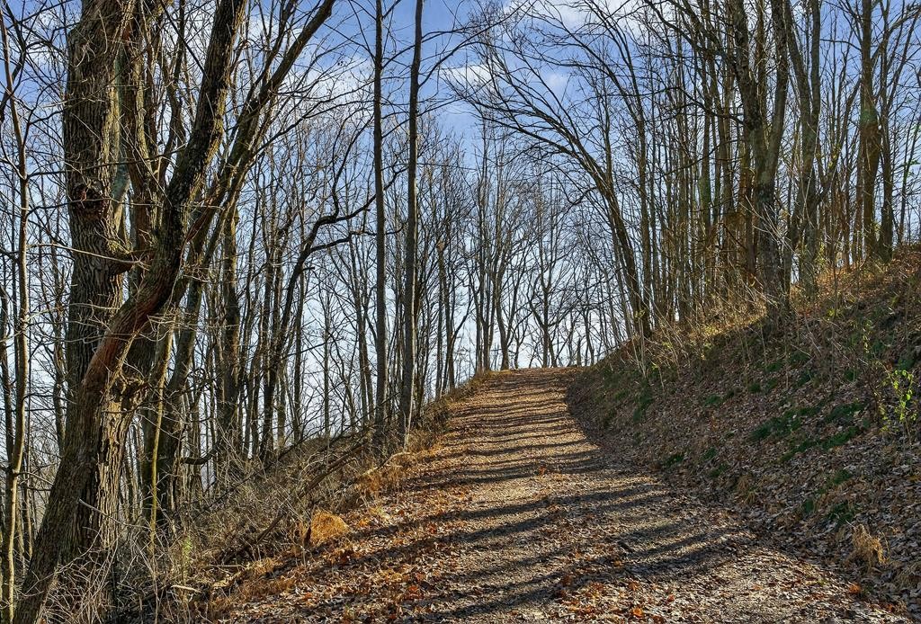 99 Judkins Road Hickman, TN 38567 - Photo 60 of 67