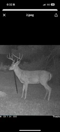 $1,300,000 | 99 Judkins Road, Hickman, TN 38567