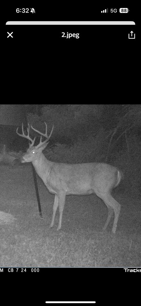 99 Judkins Road Hickman, TN 38567 - Photo 62 of 67