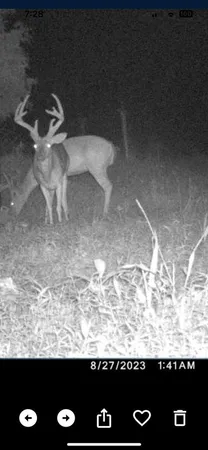 $1,300,000 | 99 Judkins Road, Hickman, TN 38567