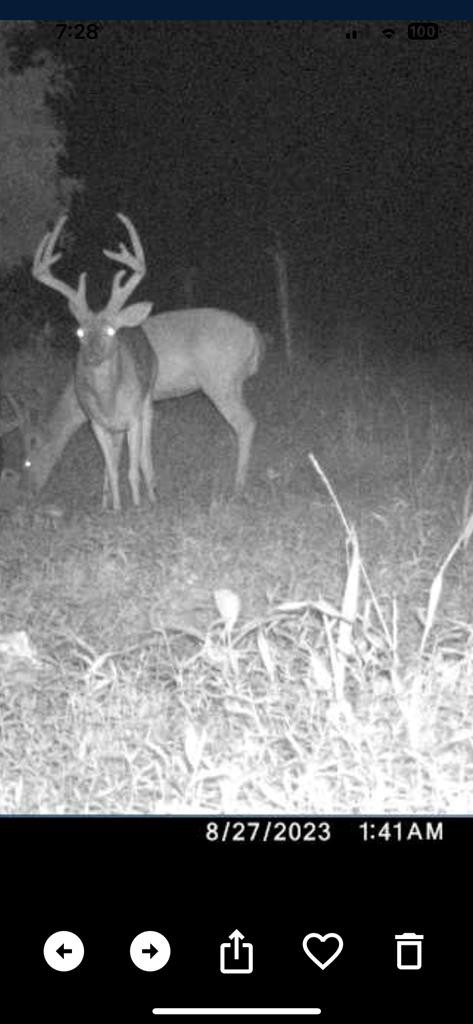 99 Judkins Road Hickman, TN 38567 - Photo 63 of 67