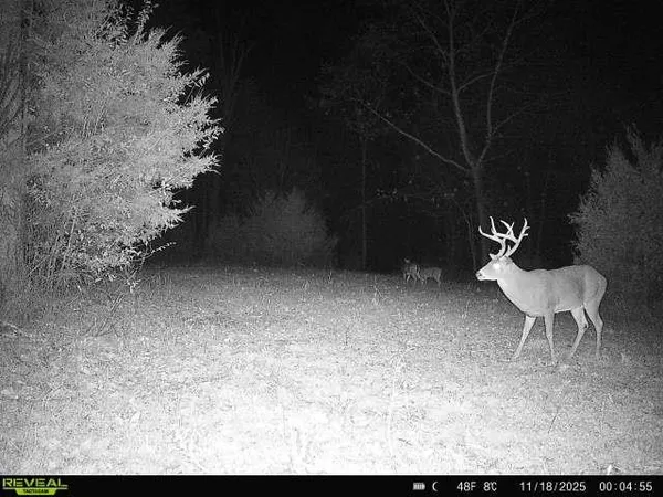 $1,300,000 | 99 Judkins Road, Hickman, TN 38567