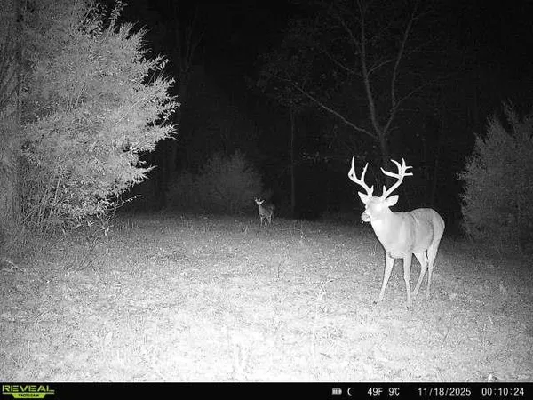 $1,300,000 | 99 Judkins Road, Hickman, TN 38567