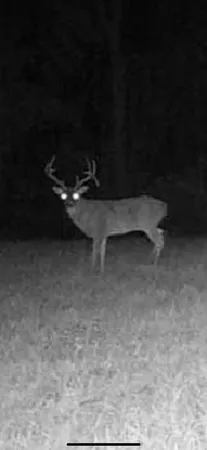 $1,300,000 | 99 Judkins Road, Hickman, TN 38567