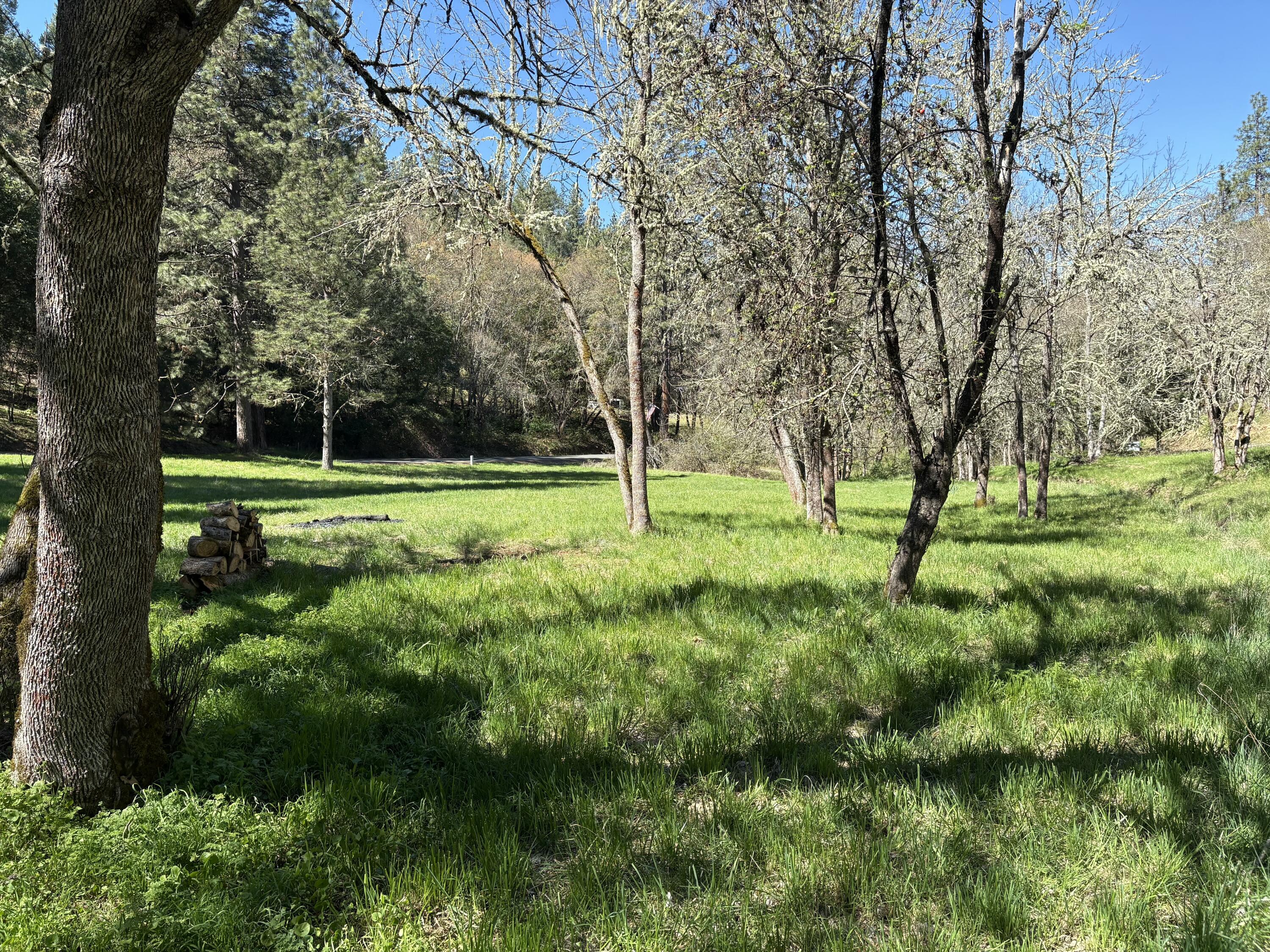 1237 Daisy Creek Road Jacksonville, OR 97530 - Photo 7 of 31 IMG_1363