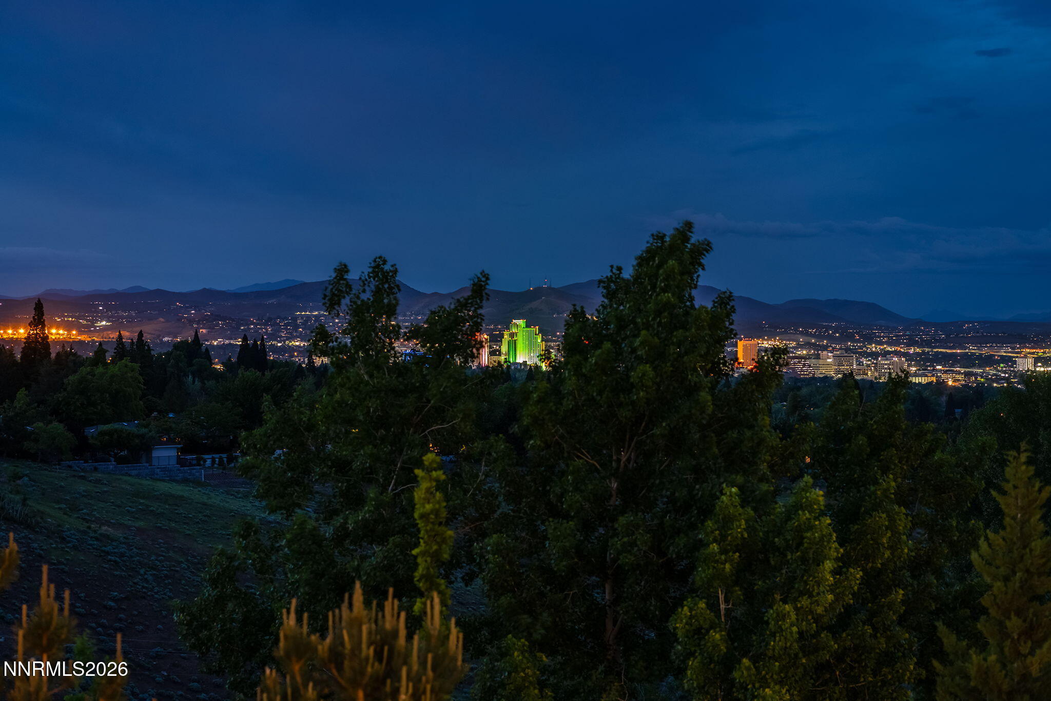 2475 Manzanita Lane Reno, NV 89509 - Photo 41 of 46 59-web-or-mls-_DSC0328
