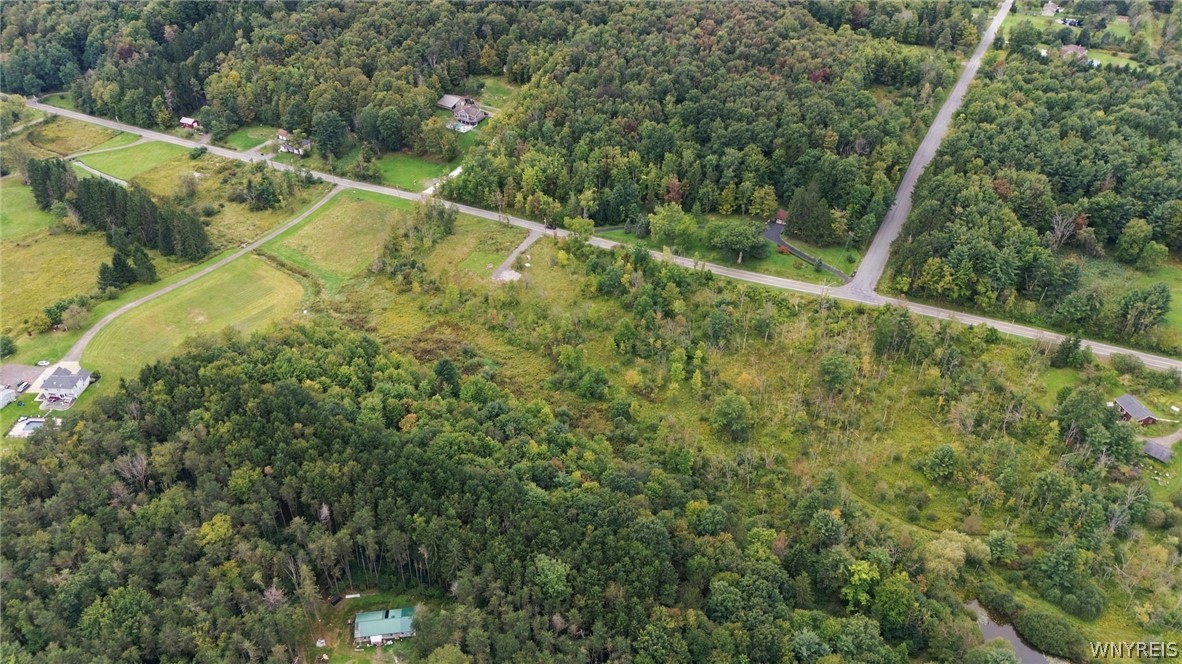 8049 Irish Road Colden, NY 14033 - Photo 21 of 30 Gallery Image 21