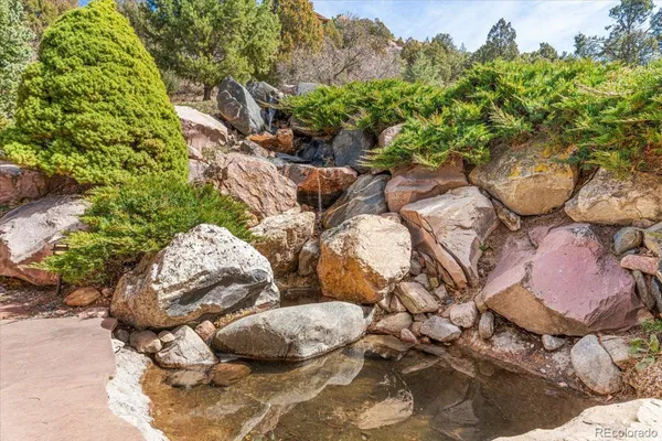 a picture of outdoor space with lots of plants and trees