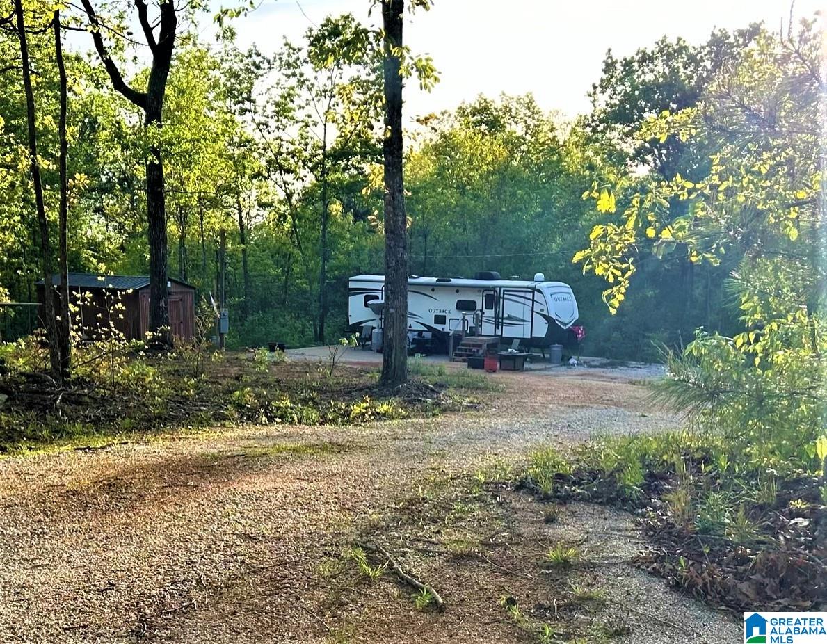 3741 County Road 47, Unit TRACT 1 Heflin, AL 36264 - Photo 1 of 10