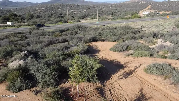 a view of a dry yard with green space