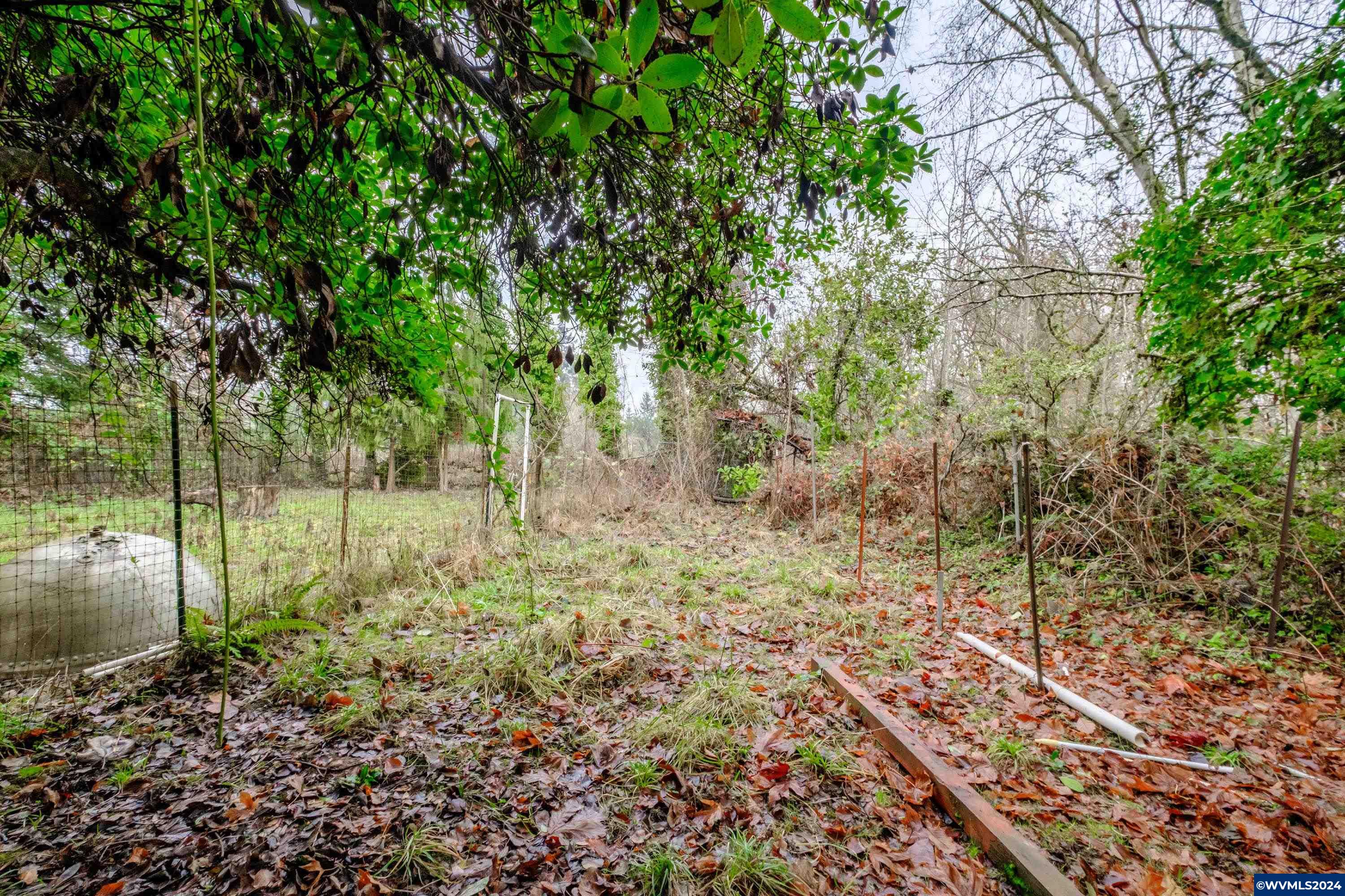 Lot 302 Cameo (behind) Road Salem, OR 97304 - Photo 5 of 31