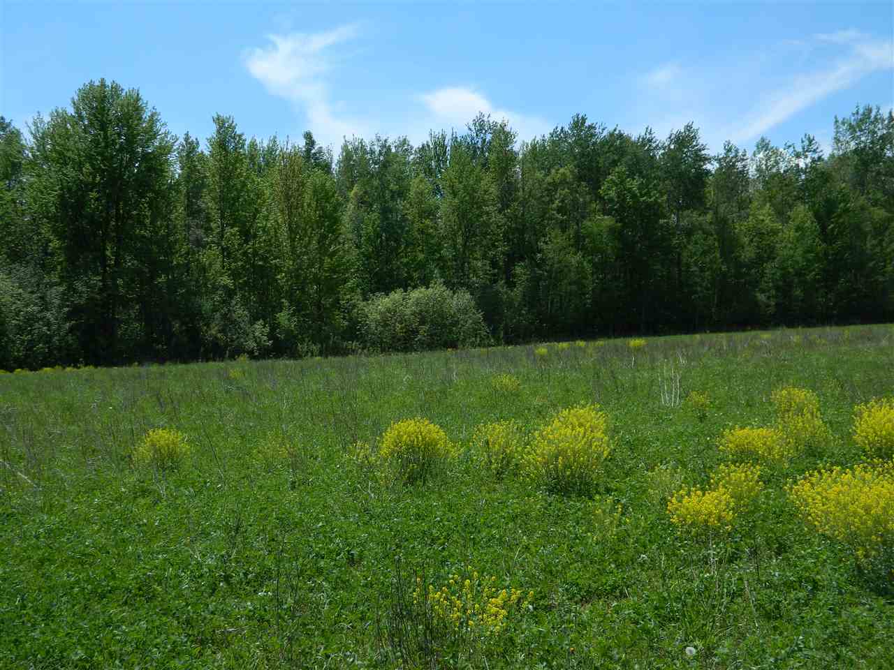 0 West Mt Forest Road Pinconning, MI 48650 - Photo 6 of 11