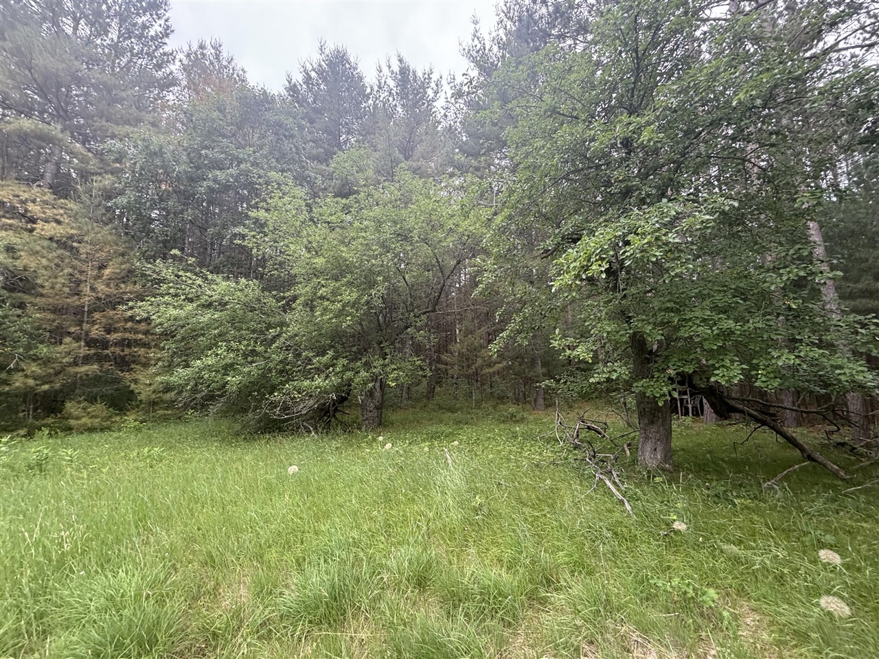 40 West 9 Mile Road Free Soil, MI 49411 - Photo 16 of 20 Gallery Image 16