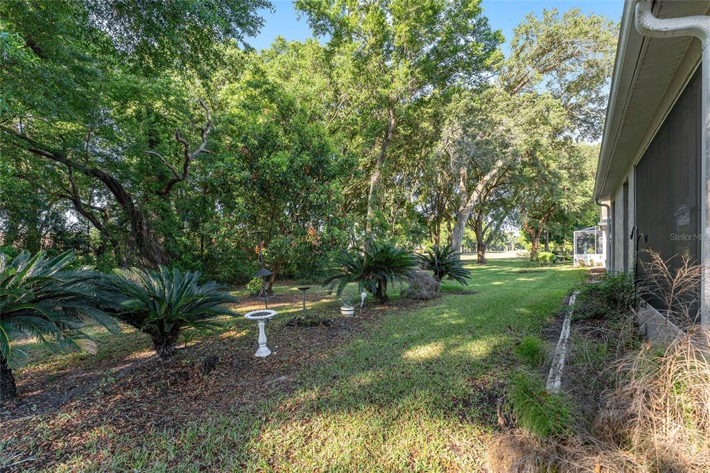10987 Southwest 69th Circle Ocala, FL 34476 - Photo 41 of 48