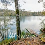 154 Fish Hatchery Road Mossyrock, WA 98564 - Photo 16 of 22 Gallery Image 16