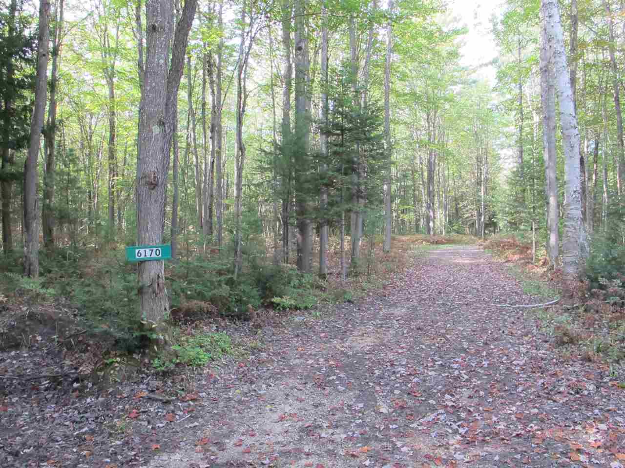 6170 Keffer Road Kingsley, MI 49649 - Photo 20 of 27 1808928-19.JPG