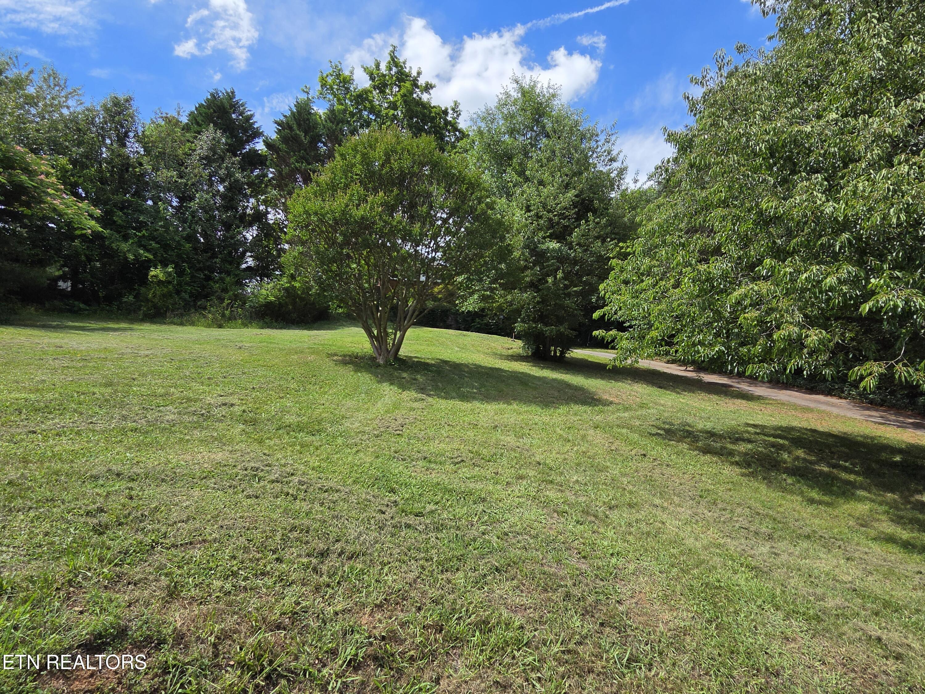 2262 Mentor Road Louisville, TN 37777 - Photo 9 of 40 1503